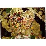 Deity Pictures of Radha Krishna