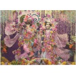 Deity Pictures of Radha Krishna