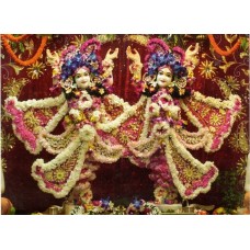 Deity Pictures of Gaur Nitai