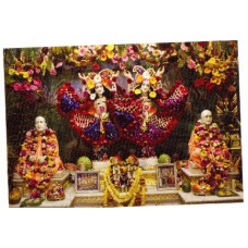 Deity Pictures of Gaur Nitai