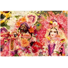 Deity Pictures of Radha Krishna