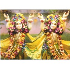 Deity Pictures of Gaur Nitai