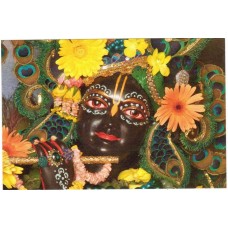 Deity Pictures of Lord Krishna