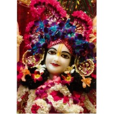 Deity Pictures of Lord Balaram