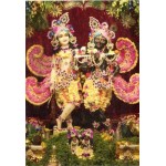 Deity Pictures of Krishna Balaram