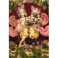 Deity Pictures of Krishna Balaram