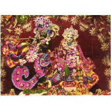 Deity Pictures of Radha Krishna