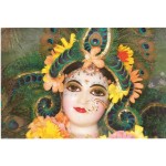 Deity Picture of Radharani