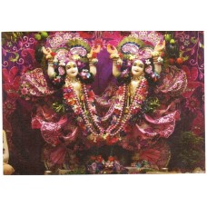 Deity Pictures of Gaur Nitai