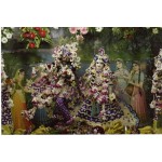 Deity Pictures of Radha Krishna