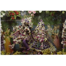 Deity Pictures of Radha Krishna