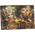 Deity Pictures of Lord Balaram & Krishna