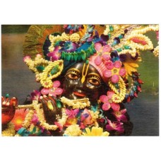 Deity Picture of Lord Krishna