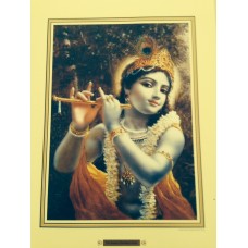 The Sound of Krishna's Flute