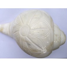 Large 7.5" Blowing Conch Shell / Shankh