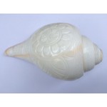 Large 6.5" Blowing Conch Shell / Shankh