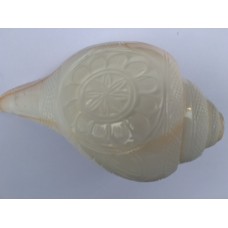 Large 6.5" Blowing Conch Shell / Shankh