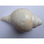 Large 6.5" Blowing Conch Shell / Shankh