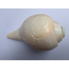 Large 5.5" Blowing Conch Shell / Shankh