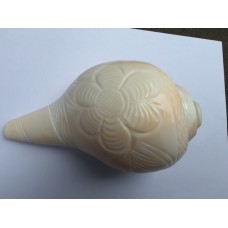 Large 5.5" Blowing Conch Shell / Shankh