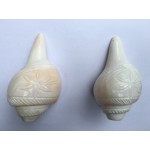 4.5" Blowing Conch Shell / Shankh