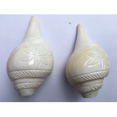 4.5" Blowing Conch Shell / Shankh